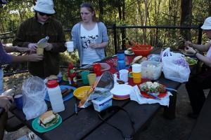 Picknick in den Glasshousemountains