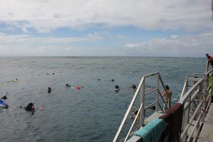 Schnorchelparadies vor der Marine World