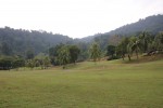 Golfplatz mit Dschungel im Hintergrund